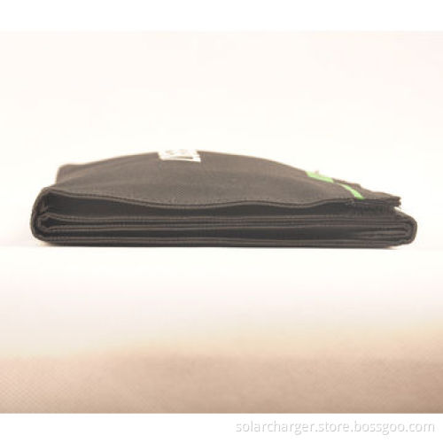 Solar Mobile Phone Charger with 2A Output Current, Dual-USB Port
